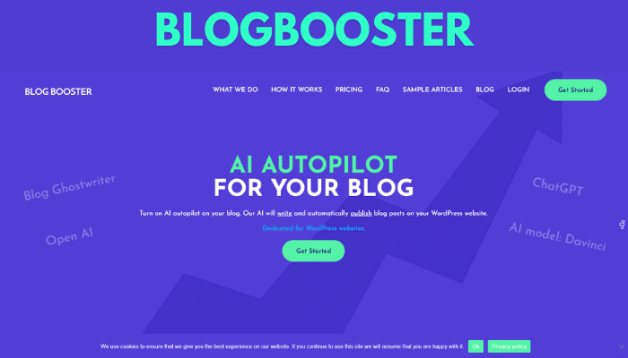 BLOGBOOSTER