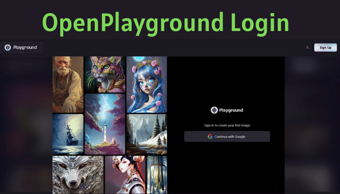 OpenPlayground Login